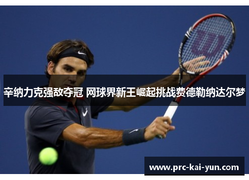 辛纳力克强敌夺冠 网球界新王崛起挑战费德勒纳达尔梦
