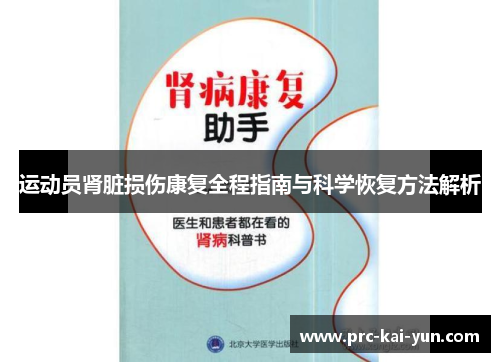 运动员肾脏损伤康复全程指南与科学恢复方法解析