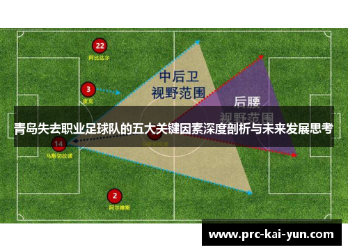 青岛失去职业足球队的五大关键因素深度剖析与未来发展思考